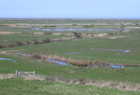 Coastal and Floodplain Grazing Marshes